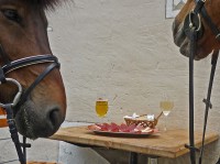 /album/engadin/p1000437-kl-jpg/